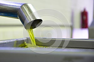 Fresh virgin olive oil production at a cold-press factory after the olive harvesting.