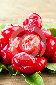 Fresh vivid red Rose Apple Plastic Daeng