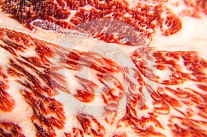 Fresh wagyu beef