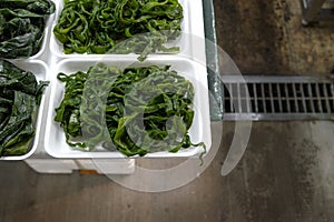 fresh wakame seaweed and pickled salt wakame seaweedt on display