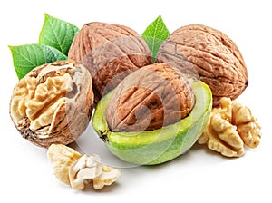 Fresh walnut in green husk, leaves and walnut kernel isolated on white background