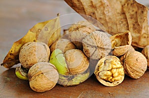 Fresh walnuts