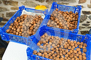 Fresh walnuts in crates