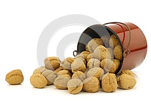 Fresh walnuts in an enamel cooking pot