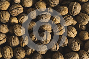 Fresh walnuts, full frame photo with strong contrast.