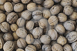 Fresh walnuts, full frame photo. Walnut background