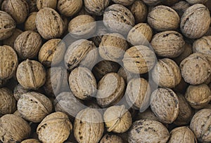 Fresh walnuts, full frame photo. Walnut background