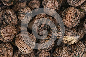 Fresh walnuts in a metal basket