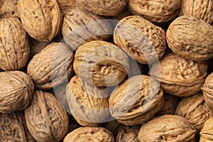 Fresh walnuts in the shell full frame close up