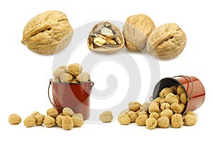 Fresh walnuts and some in an enamel  cooking pot