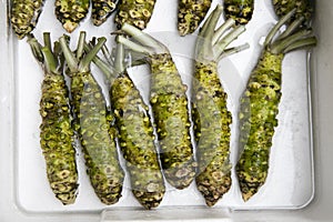 Fresh wasabi roots at a food stall at the Tsukiji Outer Market in the city of Tokyo in Japan.