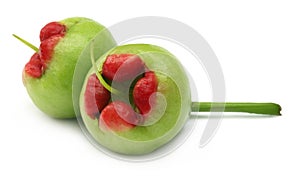 Fresh water apple or rose apple