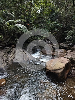 Fresh water flowing down the streamlet.