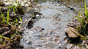 Fresh water freely flows, from a higher to a lower platform, into a paddy field through an irrigation channel