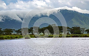 Fresh water lake surrounded by Umbrella acacias Albizia on background of mountains with clouds