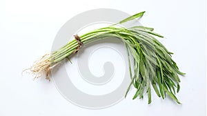 fresh water morning glory, water spinach (ipomoea aquatica) isolated on white background