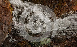 Fresh Water of a Mountain Spring