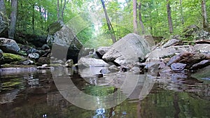 Fresh Water Pool - Hazel River Shenandoah Virginia