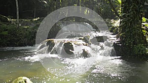 Fresh water rapids flows into the natural pond under sunshine in the jungle.