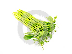 Fresh water spinach isolated on white background