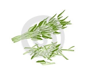 Fresh Water Spinach on A White Background