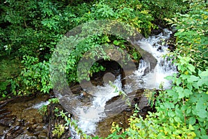 Fresh water spring cascade