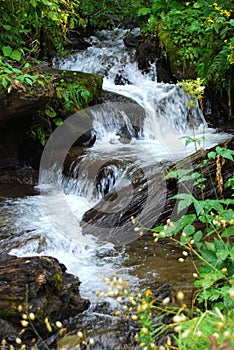 Fresh water spring cascade photo