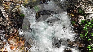 Fresh water stream from a mountain stream in the Mountains of Madrid, slow motion.