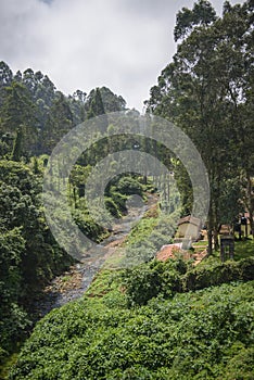 Fresh water stream in Nilgiris