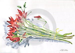 Fresh watercolor - chili pepper on white background. Modern graphics
