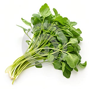 Fresh Watercress isolated on white background photo