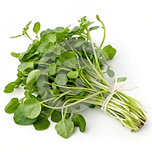 Fresh Watercress isolated on white background photo