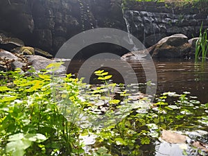 Fresh waterfall and stones Portugal