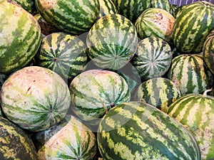 Fresh watermelon background in the fruit market