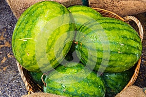 Fresh Watermelon in a basket, green and yellow watermelons in th