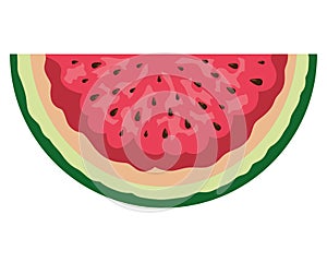 fresh watermelon tropical fruit portion