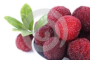 Fresh waxberry