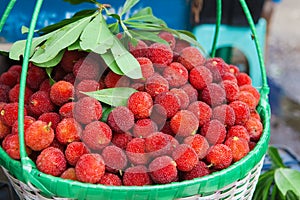 Fresh waxberry in the basket photo