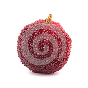 Fresh Waxberry Isolated On White