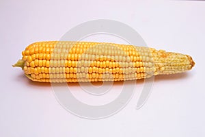 Fresh waxy corn kernel white and yellow in one ear on a white background. Sweet corn is delicious and ready to eat. Vegetables are