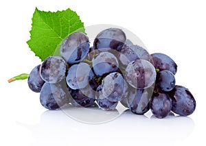 Fresh wet blue grapes with green leaf isolated on white backgrou
