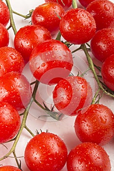 Fresh and wet piccolo tomatoes on bright background