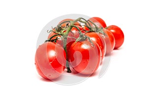 Fresh Wet Red Tomatoes