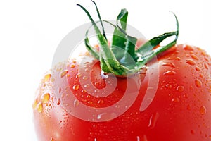 Fresh wet tomato