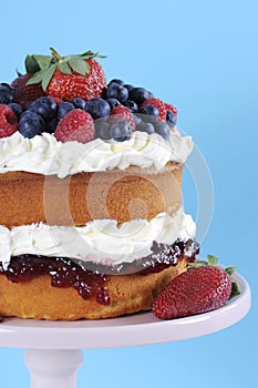 Fresh whipped cream and berries layer sponge cake - vertical.