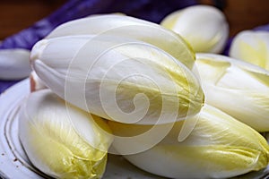 Fresh white belgian endive or chicory heads