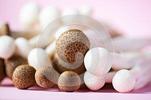 Fresh white and brown shimeji mushrooms. Close up, selective focus