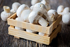 Fresh white button mushrooms photo