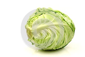 Fresh white cabbage