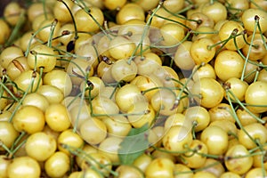 Fresh white cherries natura whitel cherry to background on the street market